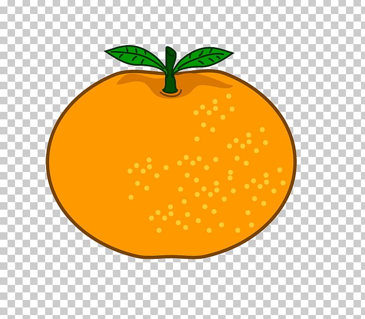 Mandarin Orange Citrus × Sinensis Fruit PNG, Clipart, Apple, Carrot, Cartoon, Citrus, Computer Icons Free PNG Download
