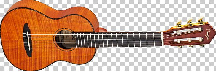 Ukulele Acoustic Guitar Musical Instruments String Instruments PNG, Clipart, Amancio Ortega, Bridge, Cuatro, Guitar Accessory, People Free PNG Download