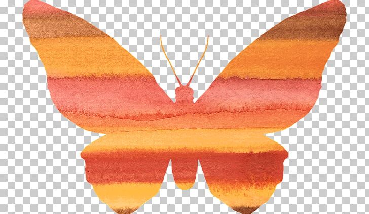 Butterfly Insect Desktop PNG, Clipart, Butterfly, Butterfly Clipart, Desktop Wallpaper, Download, Greta Oto Free PNG Download