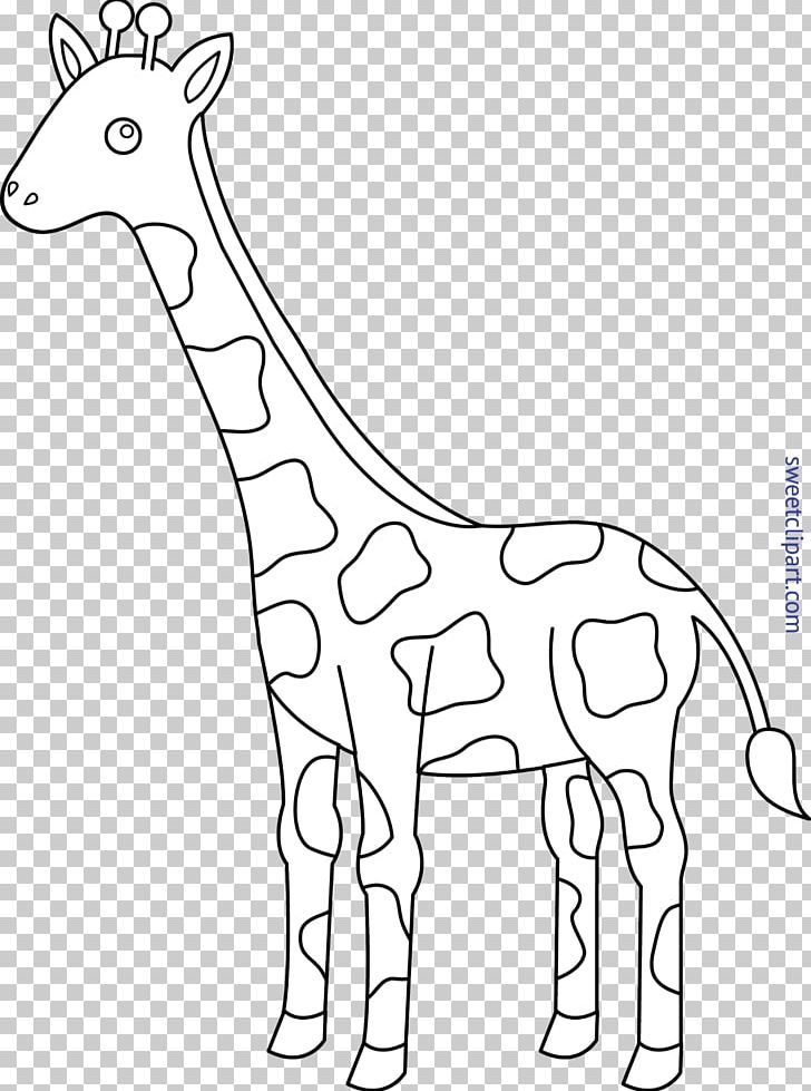 Coloring Book Child Cuteness Adult Reticulated Giraffe PNG, Clipart, Adult, Animal Figure, Area, Child, Color Free PNG Download