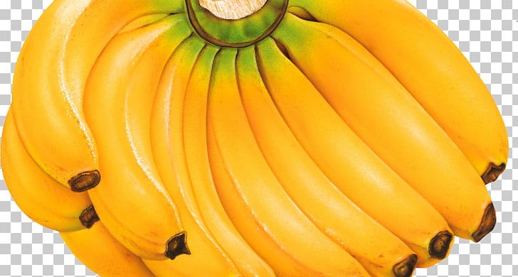 Cooking Banana Fruit Berry Sugar PNG, Clipart, Banana, Banana Family, Banana Powder, Berry, Calabaza Free PNG Download