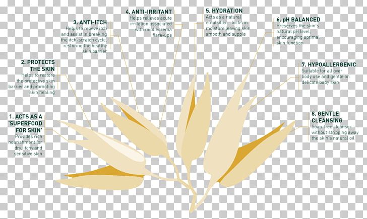 Oatmeal Therapy Graphic Design Health Dermatology PNG, Clipart, Always Persist Firmly In, Bathing, Brand, Colloid, Commodity Free PNG Download