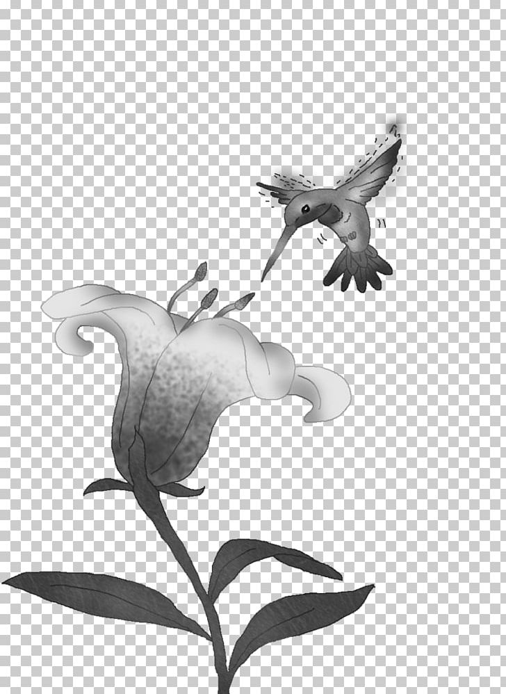 Beak Cygnini Goose Duck Anatidae PNG, Clipart, Anatidae, Beak, Bird, Black And White, Branch Free PNG Download