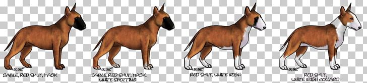 Canidae Mustang Dog Camel Mammal PNG, Clipart, Animal, Animal Figure, Bull Terrier, Camel, Camel Like Mammal Free PNG Download
