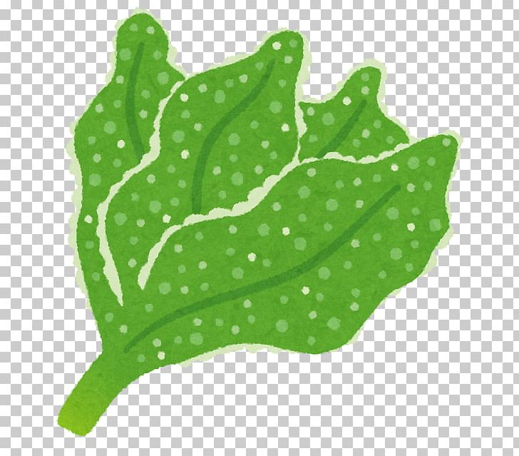 Common Iceplant Vegetable Pinitol Leaf PNG, Clipart, Budi Daya, Calorie, Drop, Food Drinks, Grass Free PNG Download