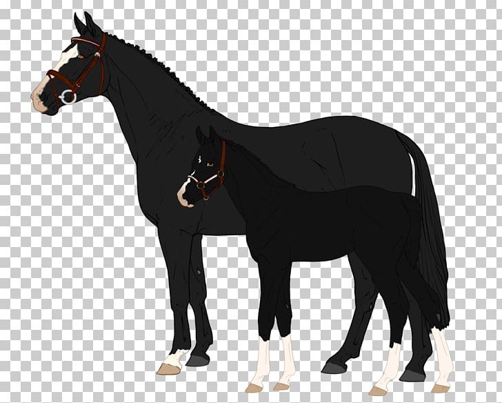 Mustang Pony Arabian Horse Foal Stallion PNG, Clipart, Animal Figure, Arabian Horse, Black, Bridle, Cob Free PNG Download