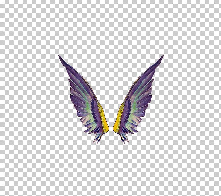 Purple Violet Peacock Feather PNG, Clipart, Adobe Photoshop Elements, Angel Wing, Angel Wings, Beak, Chicken Wings Free PNG Download