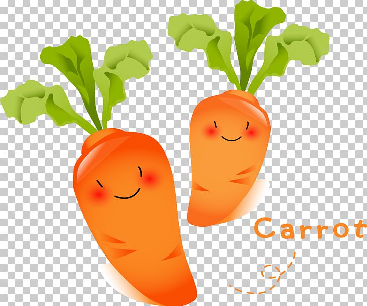Carrot Vegetable Radish Food Fruit PNG, Clipart, Bunch Of Carrots, Carrot, Carrot Cartoon, Carrot Juice, Carrots Free PNG Download