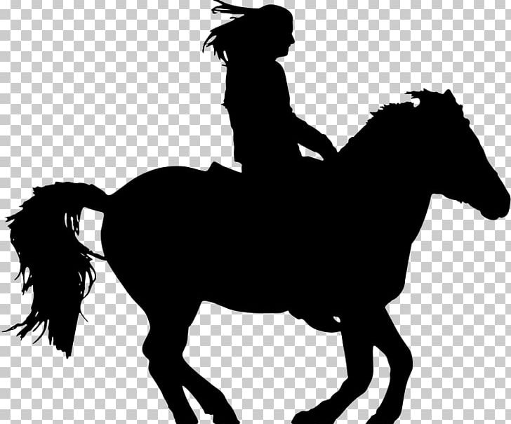Horse&Rider Equestrian English Riding PNG, Clipart, Animals, Black And White, Bridle, Collection, Cowboy Free PNG Download