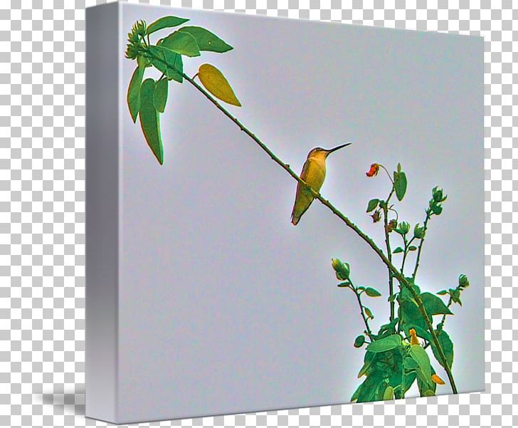 Kind Art Poster Hummingbird Canvas PNG, Clipart, Art, Bird, Branch, Canvas, Flora Free PNG Download