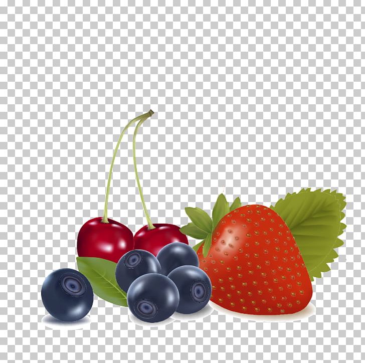 Raspberry Fruit PNG, Clipart, Blackberry, Blueberry, Cherry, Drawing, Food Free PNG Download