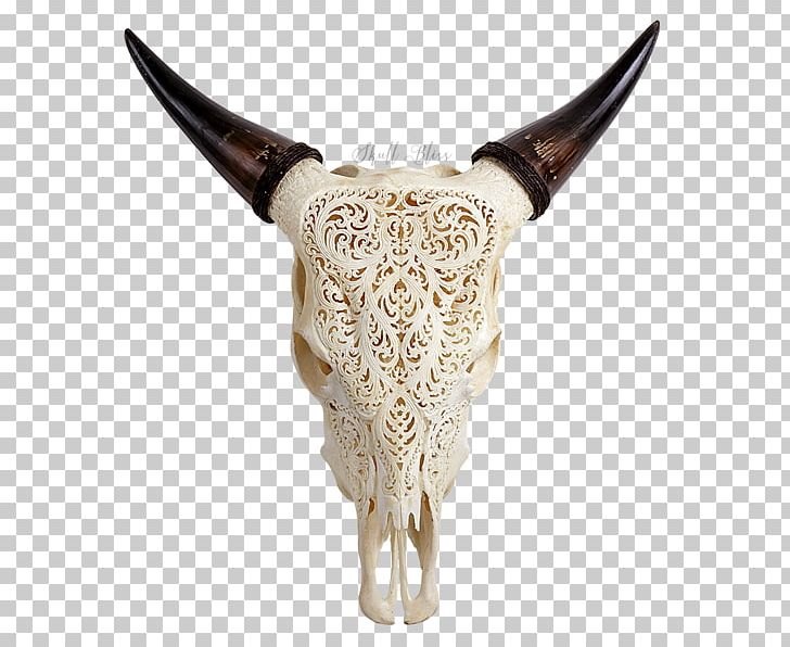 Texas Longhorn English Longhorn Animal Skulls Cow's Skull: Red PNG, Clipart,  Free PNG Download
