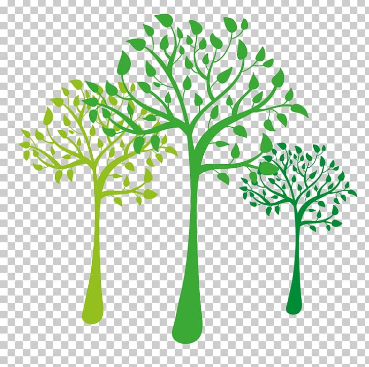 Tree PNG, Clipart, Branch, Crown, Flora, Flowering Plant, Forest Free PNG Download