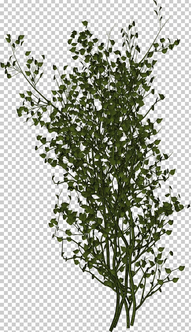 Twig Branch Leaf Tree PNG, Clipart, Black And White, Branch, Desktop Wallpaper, Flora, Flowering Plant Free PNG Download