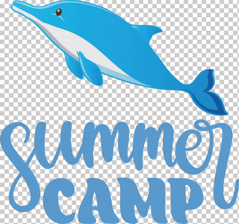 Summer Camp Summer Camp PNG, Clipart, Bottlenose Dolphin, Camp, Cetaceans, Dolphin, Logo Free PNG Download