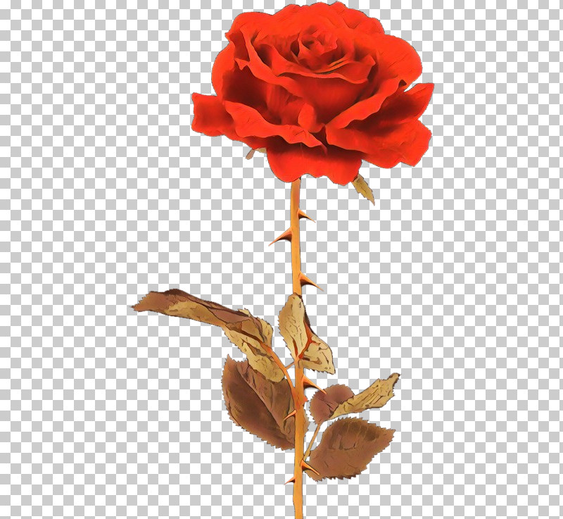 Garden Roses PNG, Clipart, Artificial Flower, China Rose, Cut Flowers, Floribunda, Flower Free PNG Download