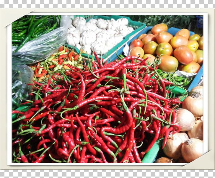 Bird's Eye Chili Capsicum Annuum Var. Acuminatum Chili Pepper Bumbu Food PNG, Clipart, Bell Peppers And Chili Peppers, Birds Eye Chili, Cayenne Pepper, Chili Pepper, Cooking Free PNG Download