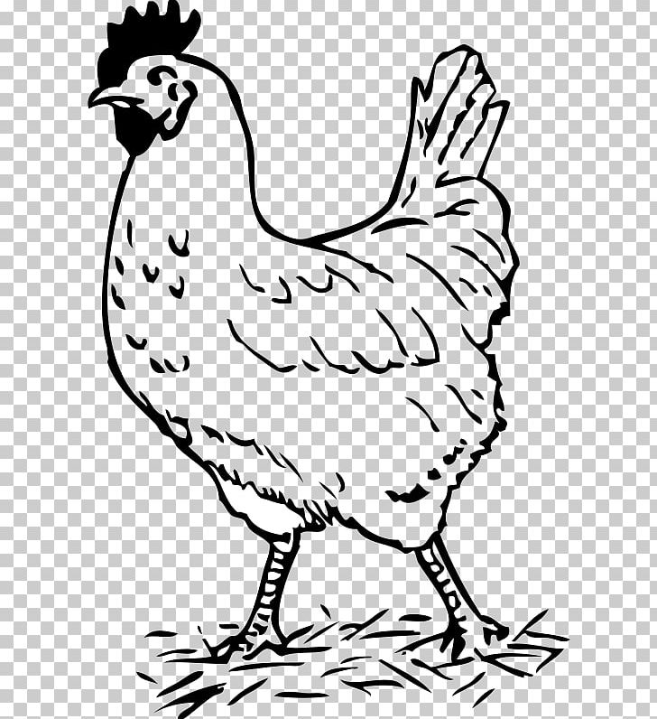 Chicken Black And White Rooster PNG, Clipart, Animal Figure, Animals, Art, Artwork, Beak Free PNG Download