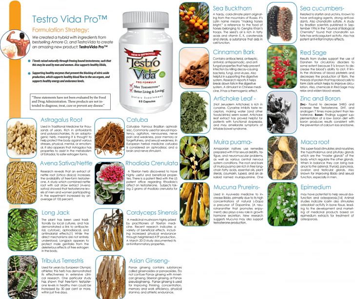 Dietary Supplement The Delgado Protocol For Health Testosterone Life Extension PNG, Clipart, Acne, Adrenal Fatigue, Dietary Supplement, Dihydrotestosterone, Disease Free PNG Download