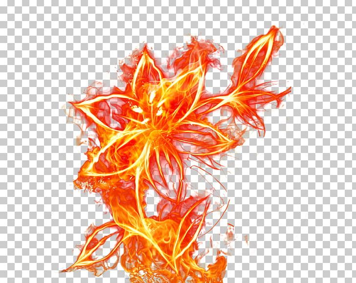 Flame Fire Flower PNG, Clipart, Blooming, Euclidean Vector, Explosion, Fire, Flame Free PNG Download