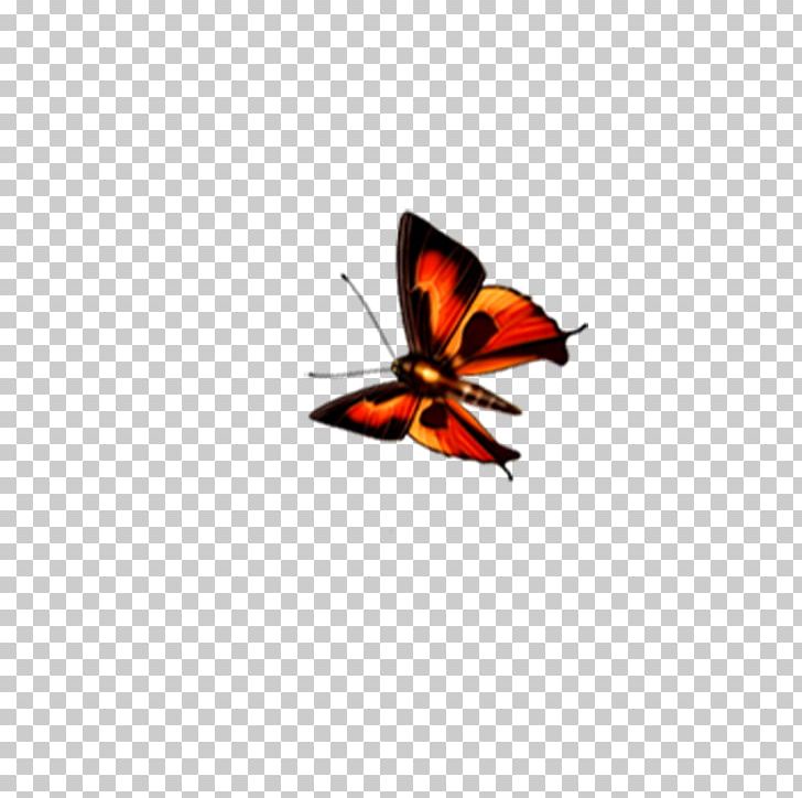 Monarch Butterfly PNG, Clipart, Animal, Arthropod, Blue Butterfly, Brush Footed Butterfly, Butterflies Free PNG Download