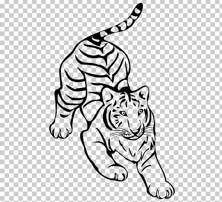 Tiger Felidae Line Art Drawing PNG, Clipart, Animals, Arm, Art, Big Cats, Black Free PNG Download