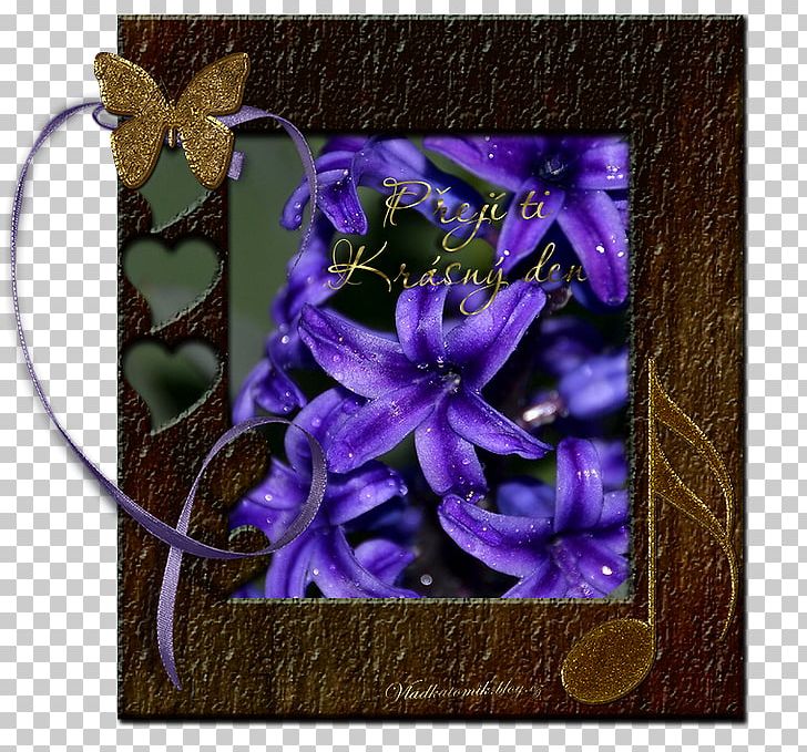 Frames Flowering Plant PNG, Clipart, Cobalt Blue, Electric Blue, Flora, Flower, Flowering Plant Free PNG Download