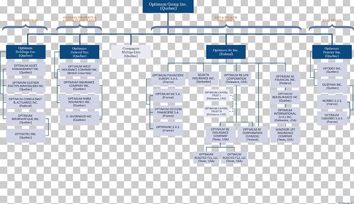 Organizational Chart Business Organizational Structure Service PNG, Clipart, Area, Brand, Business, Consultant, Information Free PNG Download