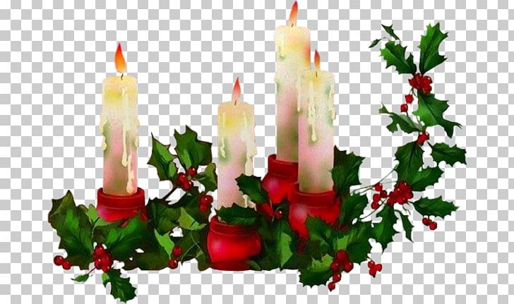 Candle Christmas PNG, Clipart, Advent Candle, Aquifoliaceae, Candle, Christmas Decoration, Decor Free PNG Download