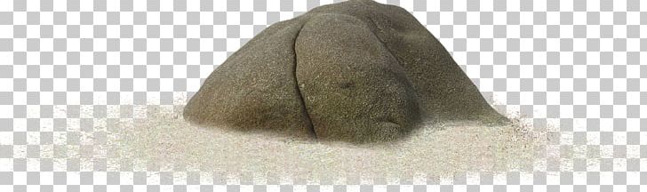 Fur Long Hair Brown Wood PNG