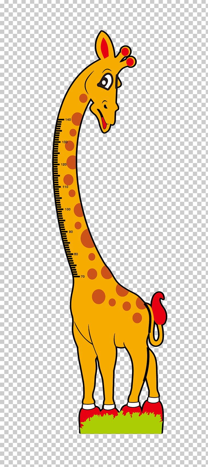 Northern Giraffe Human Height Ruler PNG, Clipart, Animal Figure, Animals, Area, Bone Age, Cute Giraffe Free PNG Download