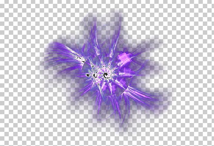 Purple Color PNG, Clipart, Art, Background Light, Closeup, Color, Computer Software Free PNG Download