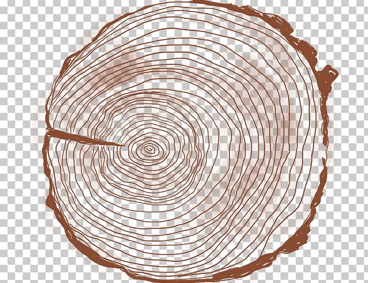 Circle PNG, Clipart, Circle, Spiral, Tree Ring Free PNG Download