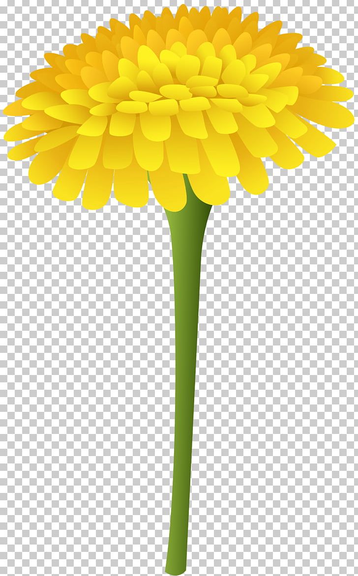 Dandelion Marigold Flower PNG, Clipart, Autocad Dxf, Clip Art, Cut Flowers, Dahlia, Daisy Free PNG Download