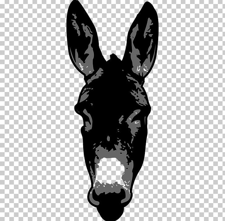 Donkey Silhouette Graphics PNG, Clipart, Animals, Black, Black And White, Burro, Cattle Like Mammal Free PNG Download