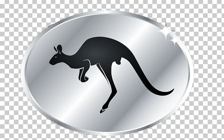 Eastern Grey Kangaroo PNG, Clipart, Animal, Animals, Australian Silver Kangaroo, Black, Computer Wallpaper Free PNG Download