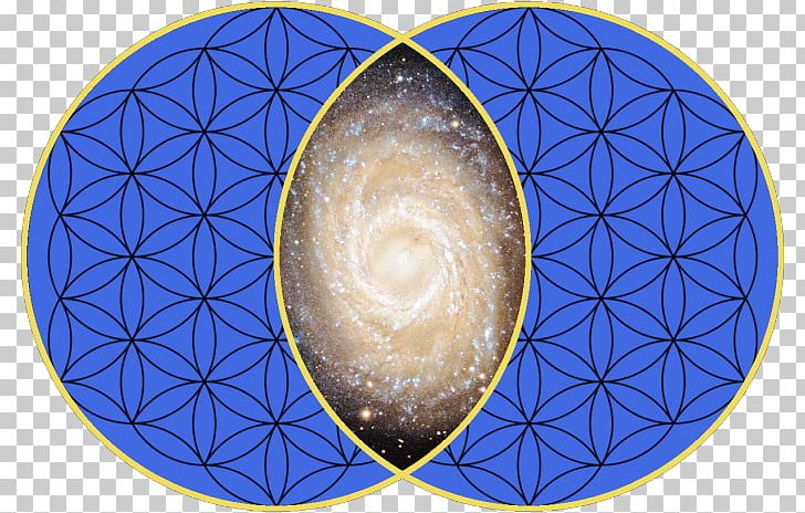 Vesica Piscis Sacred Geometry Symmetry Urinary Bladder PNG, Clipart,  Free PNG Download