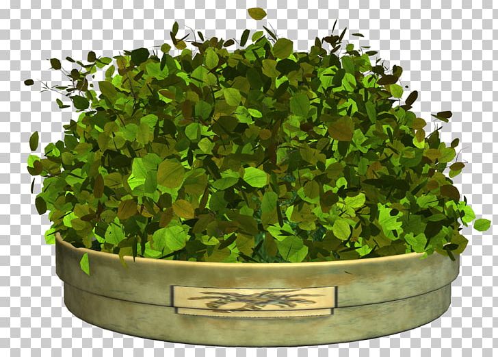 Leaf Vegetable Furniture Albom PNG, Clipart, Albom, Bed, Download, Encapsulated Postscript, Flower Free PNG Download