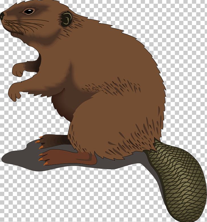 North American Beaver Silhouette PNG, Clipart, Beaver, Beaver Dam, Carnivoran, Cartoon, Drawing Free PNG Download