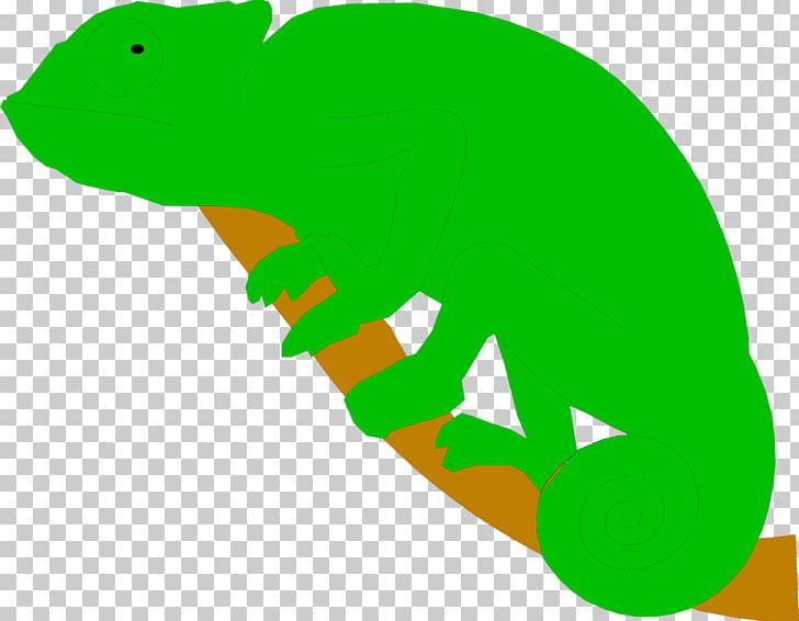 Reptile Chameleons Lizard PNG, Clipart, Amphibian, Animal, Animals, Chameleon, Chameleons Free PNG Download