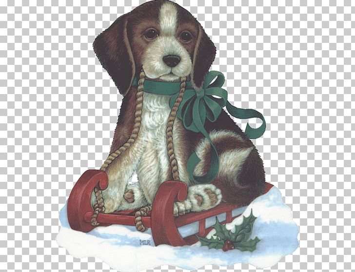 Beagle Puppy Dog Breed Christmas Companion Dog PNG, Clipart, Animal, Animals, Beagle, Biscuits, Blog Free PNG Download