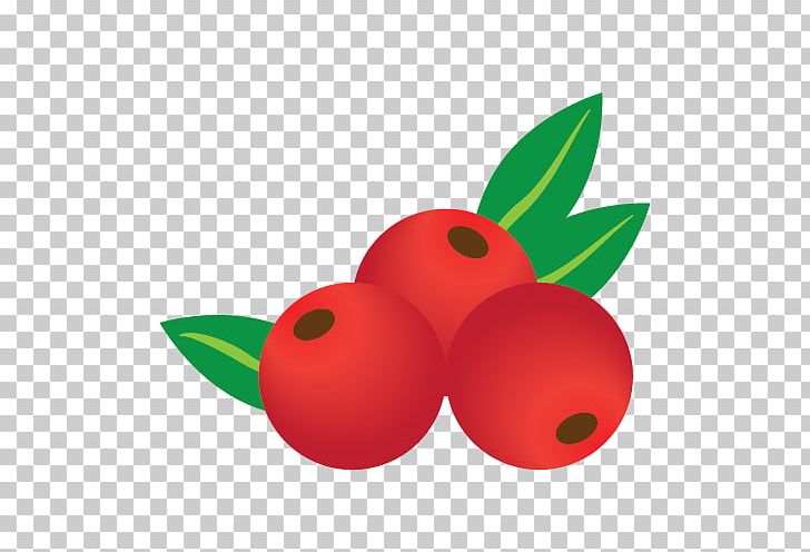 Graphics Computer Icons PNG, Clipart, Berries, Computer Icons, Cranberries, Cranberry, Food Free PNG Download