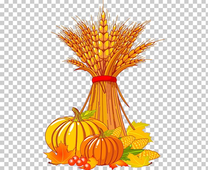 Harvest Autumn Wheat PNG, Clipart, Autumn, Background, Commodity, Computer Icons, Desktop Wallpaper Free PNG Download