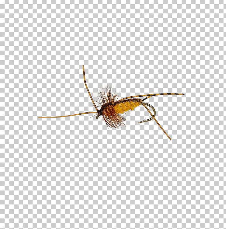 Insect Artificial Fly PNG, Clipart, Animals, Arthropod, Artificial Fly, Fly, Hellbender Free PNG Download