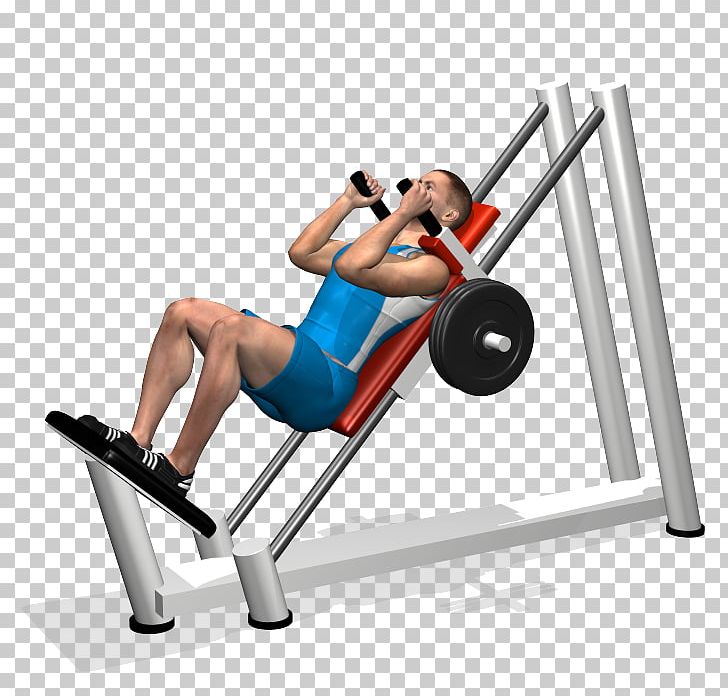 Squat Exercise Bench Press Barbell Dumbbell PNG, Clipart, Abdomen, Arm, Barbell, Bench, Bench Press Free PNG Download