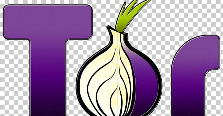 Tor Browser Web Browser Anonymity Computer Software PNG, Clipart, Anonymity, Computer Software, Dark Web, Deep Web, Firefox Free PNG Download