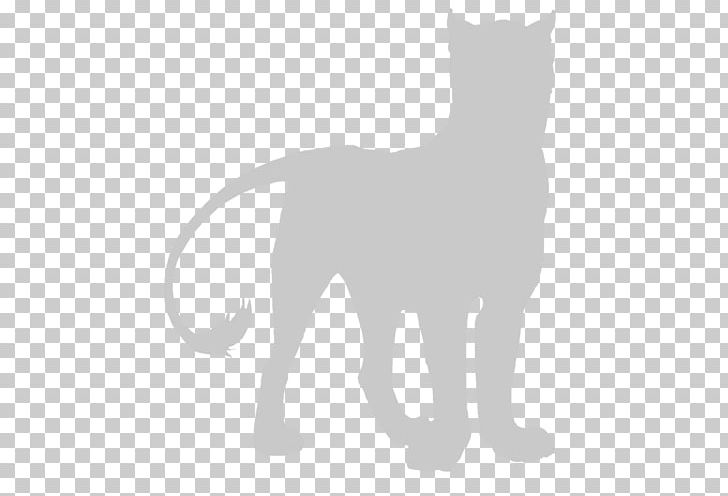 Whiskers Kitten Cat Lion Cougar PNG, Clipart, Animals, Big Cat, Big Cats, Black, Black And White Free PNG Download