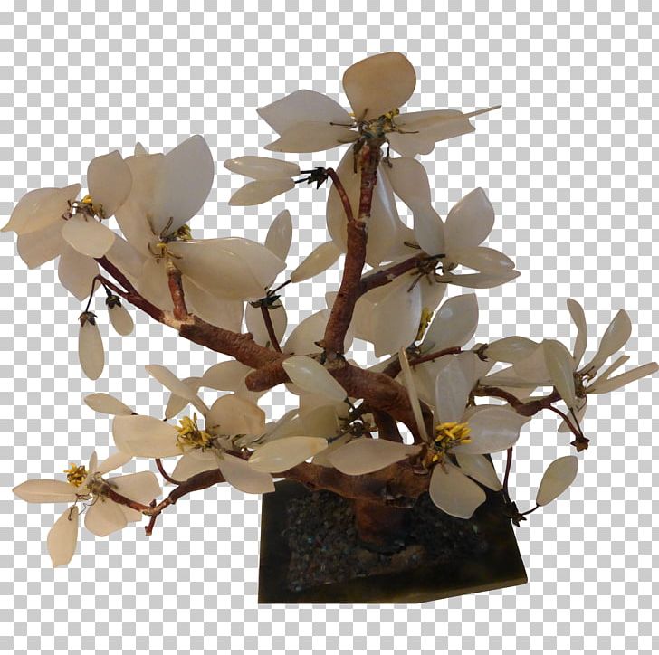 Jade Plant Branch Tree Twig PNG, Clipart, Beautiful Flower, Bonsai, Bonsai Tree, Branch, Bud Free PNG Download