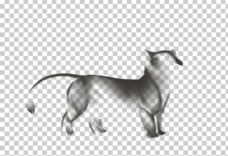Whiskers Cat Dog Breed Snout PNG, Clipart, Animals, Black And White, Breed, Carnivoran, Cat Free PNG Download