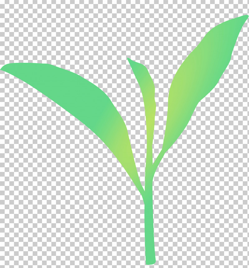 Leaf Green Plant Flower Plant Stem PNG, Clipart, Flower, Grass, Green, Leaf, Lily Of The Valley Free PNG Download